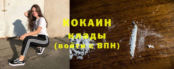 тгк Нея