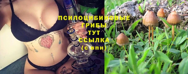 тгк Нея