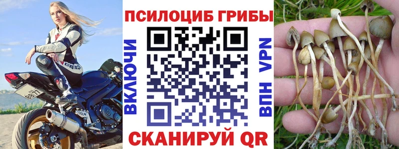купить   KRAKEN ТОР  Галлюциногенные грибы GOLDEN TEACHER  Шлиссельбург 